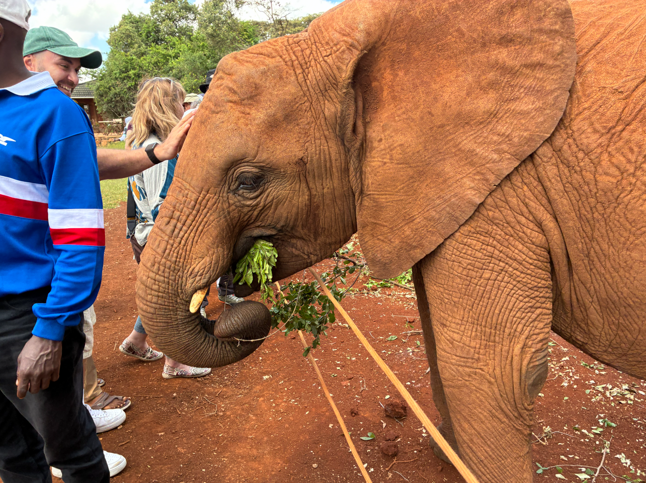 ケニア(ナイロビ3日目)