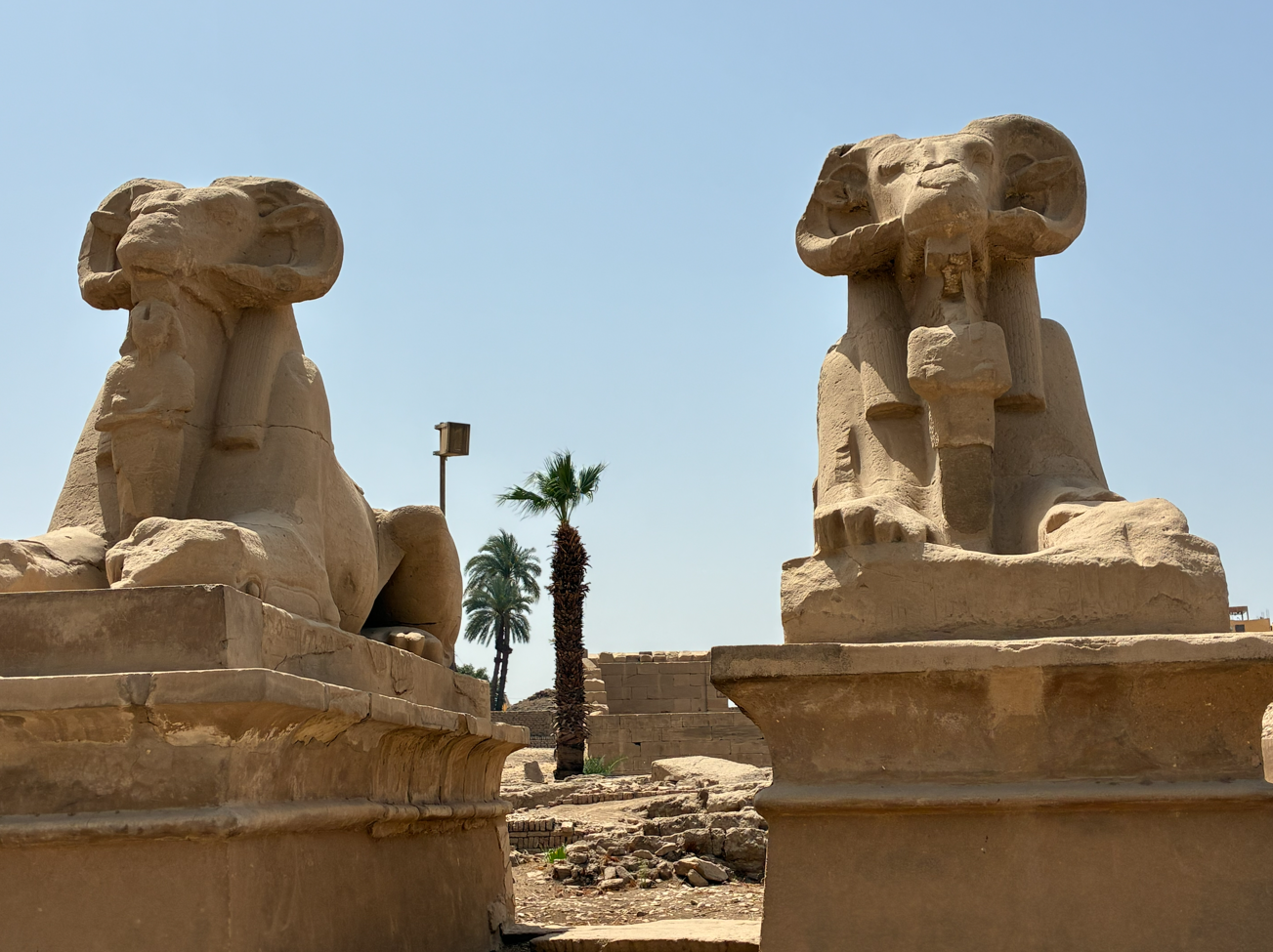 エジプト(ルクソール3日目)
