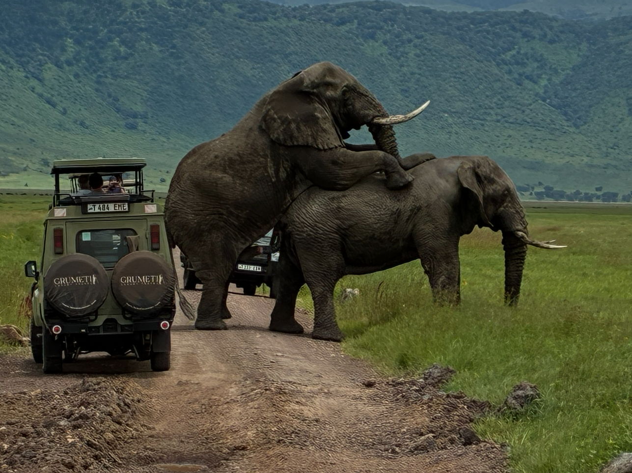 タンザニア(ンゴロンゴロ)